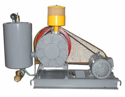 回轉(zhuǎn)式鼓風(fēng)機(jī)