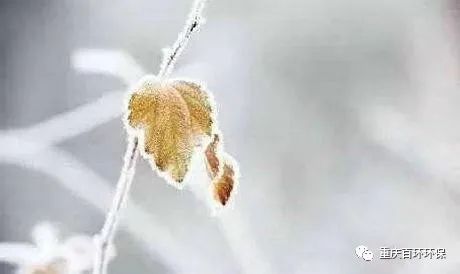 熬過(guò)疫情寒冬，迎來(lái)發(fā)展